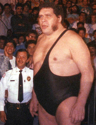 Andre the Giant.jpg