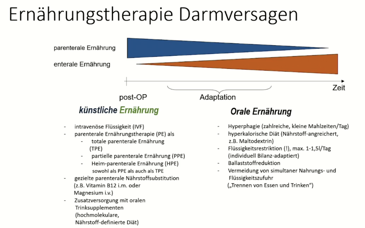 Abbildung 1.png